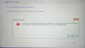Windows cannot install required files. Make sure all files required for installation are available, and restart the installation. Error code: 0x8007025D